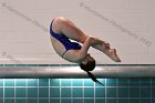 Women's Diving  Wheaton College Women’s Diving vs Mount Holyoke College. - Photo by Keith Nordstrom : Wheaton, Swimming & Diving